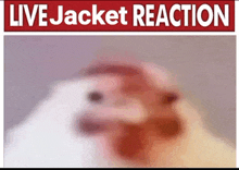 a blurry picture of a chicken with the words live jacket reaction on it