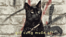 Chế GIF - Muongi Cat Cleaningnails GIFs