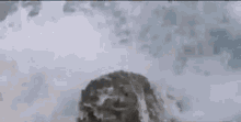 Godzilla Godzilla Vs Destoroyah GIF