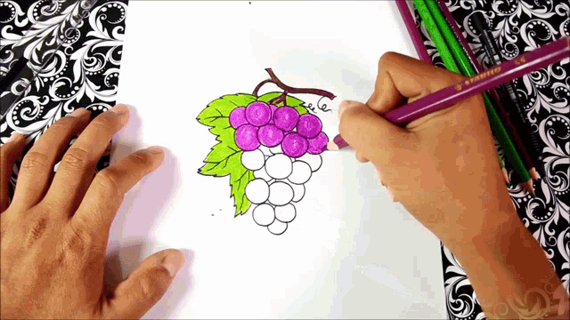 HOW TO DRAW GRAPES STEP BY STEP | Learn How to Draw and coloring Grapes for  kids, Kids Drawing ，Learn colours Easy grapes drawing  https://www.findpea.com/how-to-draw-grapes-step-by-step/ | By  FindpeaFacebook