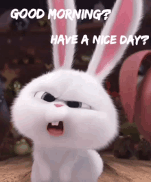Good Morning Have A Nice Day GIF - Good Morning Have A Nice Day Rabbit GIFs