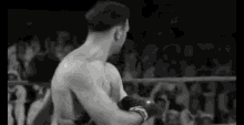 Jerry Lewis Boxing GIF - Jerry Lewis Boxing Comedy GIFs