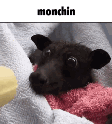 Bat Monchin GIF - Bat Monchin Bannana GIFs