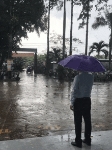 a man with a purple umbrella in the rain