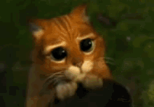 Puss In Boots  GIF - Shrek Puss In Boots Eyes GIFs