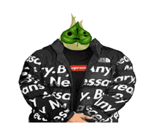 a person wearing a supreme jacket with a leaf on their head