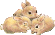three small rabbits are sitting on top of each other on a white background .