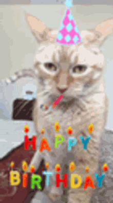 Rocky Cat GIF - Rocky Cat Happy Birthday GIFs