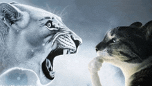 a black and white drawing of a lion and a cat with their mouths open