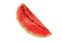spinning watermelon