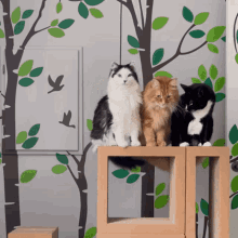 Theoreocat Cats GIF - Theoreocat Cats Hug GIFs