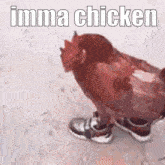 Chicken Biryani Imma Chicken GIF