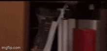 a young man is standing in front of a bookshelf in a library and looking at the camera .