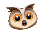 Owl Cute Sticker - Owl Cute Head Shake Stickers