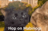 Hoponmabi Mabinogi GIF - Hoponmabi Mabinogi GIFs