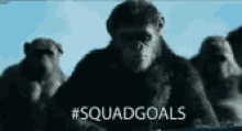 Homies Planet Of The Apes GIF - Homies Planet Of The Apes GIFs