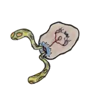 a child 's drawing of a snake eating a jellyfish