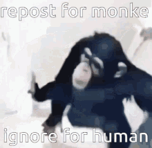 repost monkey