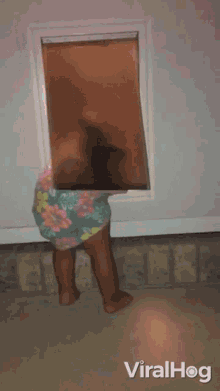 Peeking Through Dog Door Viralhog GIF