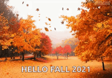 Autumn Leaves GIF - Autumn Leaves Maple GIFs