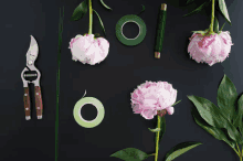 Floral Arrangement Supplies GIF