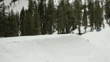 a snowy slope with trees in the background and a person skiing down it