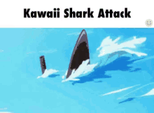 Surprise Shark GIF - Surprise Shark Anime GIFs