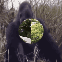 Tree Epic GIF - Tree Epic Gorilla GIFs