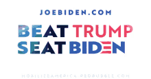 Joe Biden Biden2020 GIF - Joe Biden Biden2020 GIFs