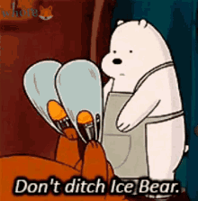 Mad Ditch GIF - Mad Ditch Ice Bear GIFs