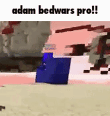 Adam Bedwars Pro Adam GIF - Adam Bedwars Pro Adam Adham GIFs