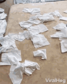 a bunch of tissues are scattered on the floor with the words viralhog written on the bottom