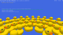 a bunch of yellow rubber ducks are on a blue background