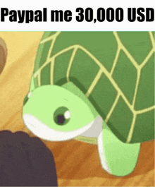 30000 Usd Turtle GIF - 30000 Usd Turtle Vedal GIFs