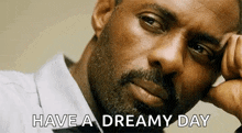 a man with a beard is sitting down with his hand on his face and the words `` have a dreamy day '' .