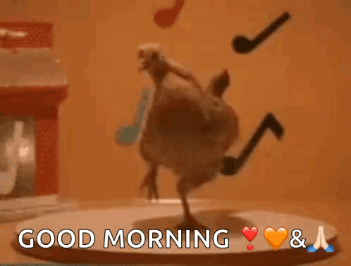 untitled.gif