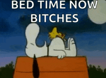 a cartoon of snoopy laying on top of a doghouse with the words `` bed time now bitches '' written on it .
