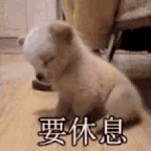 休息 GIF - Relax Sleep Puppy GIFs