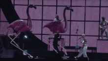a group of flamingos are standing on a stage with a woman singing into a microphone .
