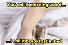 Morning Wood Breakfast In Bed GIF - Morning Wood Breakfast In Bed Hottie GIFs