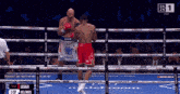 Anthony Joshua Ajao GIF - Anthony Joshua Ajao Boxing GIFs