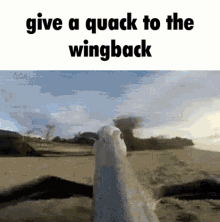 Give A Quack GIF