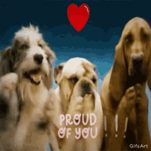 Dogs Proud GIF - Dogs Proud Of GIFs
