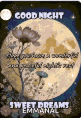 a greeting card that says good night hope you have a wonderful and peaceful night 's rest sweet dreams