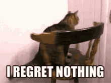 No Regret Cat GIF - I Regret Nothing Spinning Twirling GIFs