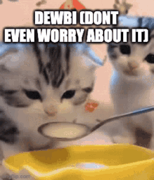 Dewbi Cat GIF - Dewbi Cat Dont Even Worry About It GIFs