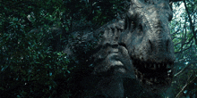 a close up of a dinosaur with its mouth open in the woods