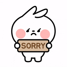 cute sorry