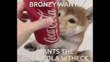 Coca Cola Shiba GIF
