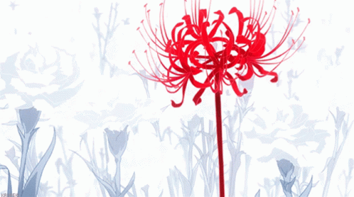 Red Spider Lily Flower GIF - Red Spider Lily Flower Bloom - Discover &  Share GIFs